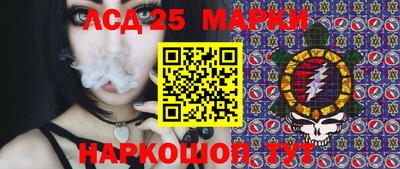 гидропоника Будённовск