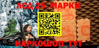гидропоника Будённовск