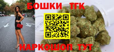 гидропоника Будённовск