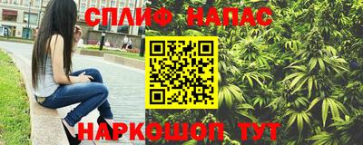 гидропоника Будённовск