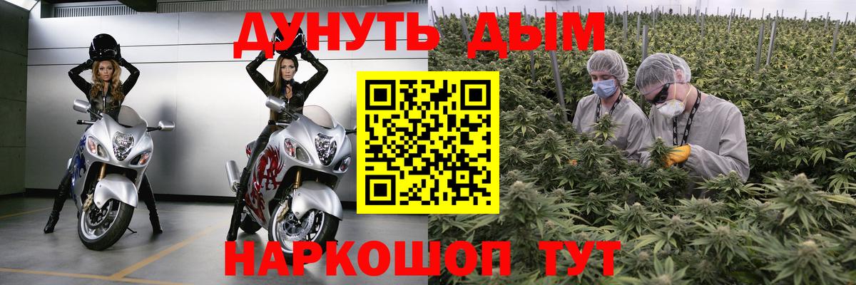 Бошки марихуана SATIVA & INDICA  Бошки Шишки гибрид  Вход с VPN  Пыть-Ях  Бошки марихуана White Widow 